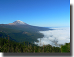 Teide